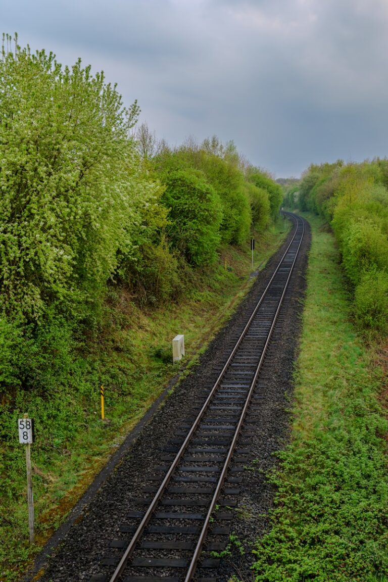 Railway tracks curve through lush greenery.